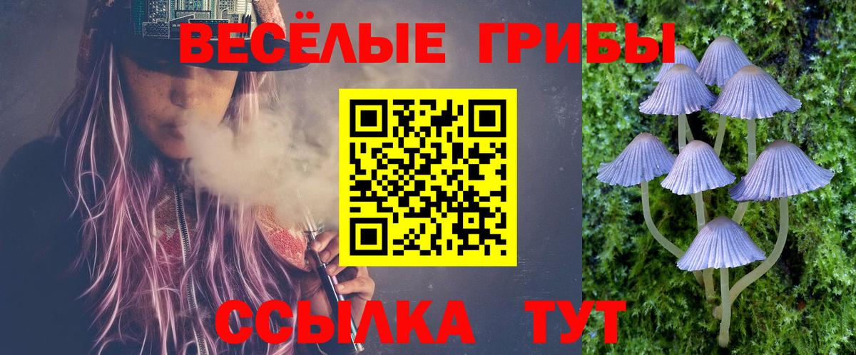 Псилоцибиновые грибы GOLDEN TEACHER Заводоуковск