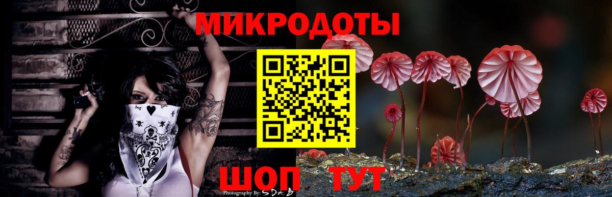 Заводоуковск  Псилоцибиновые грибы мухоморы  Вход с VPN  Псилоцибиновые грибы GOLDEN TEACHER 